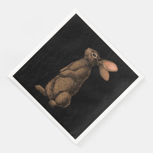 ウサギ (コーナー)