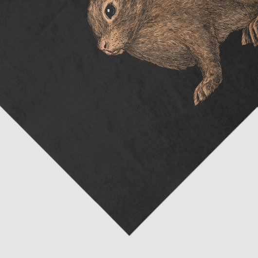 ウサギ2 薄葉紙 (詳細)