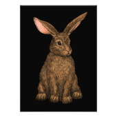 ウサギ3 フォトプリント            (正面)