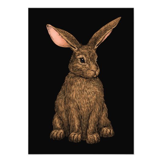 ウサギ3 フォトプリント            (正面)