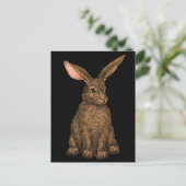 ウサギ3 ポストカード (スタンド正面)