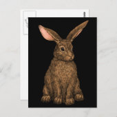 ウサギ3 ポストカード (正面/裏面)
