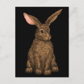 ウサギ3 ポストカード (正面)