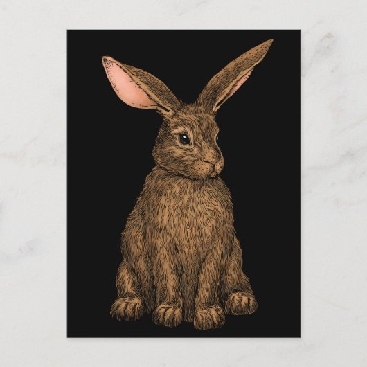 ウサギ3 ポストカード (正面)
