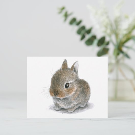 ウサギ61 ポストカード (スタンド正面)