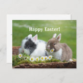 ウサギ8イースターポストカード ポストカード (正面/裏面)