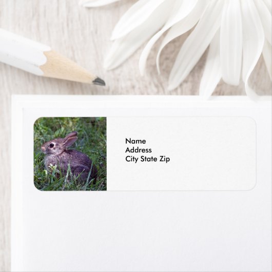 ウサギ8603 ラベル (インサイチュ)