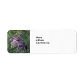 ウサギ8603 ラベル (正面)