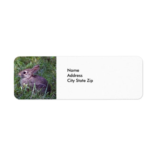 ウサギ8603 ラベル (正面)