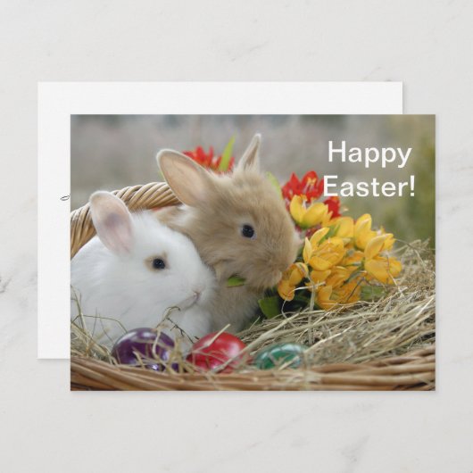 ウサギ9イースターポストカード ポストカード (正面/裏面)