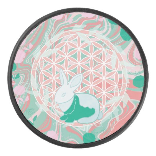 ウサギ アイスホッケーパック (正面)