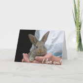 ウサギ カード (裏面)