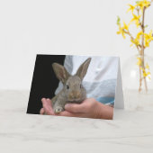 ウサギ カード (黄色い花)