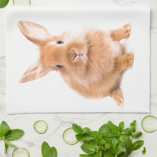 ウサギ キッチンタオル (折り畳み)