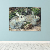 ウサギ キャンバスプリント (インサイチュ (ウッドフロア))
