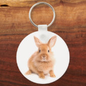 ウサギ キーホルダー (正面)