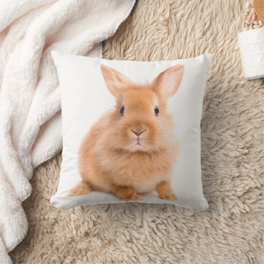 ウサギ クッション (ブランケット)