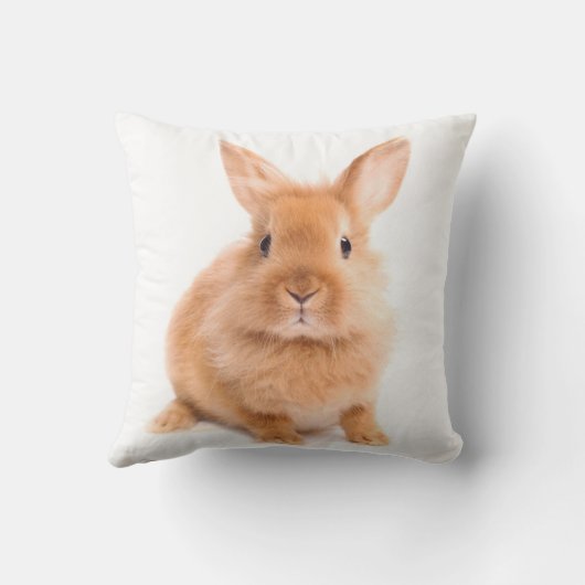 ウサギ クッション (裏面)