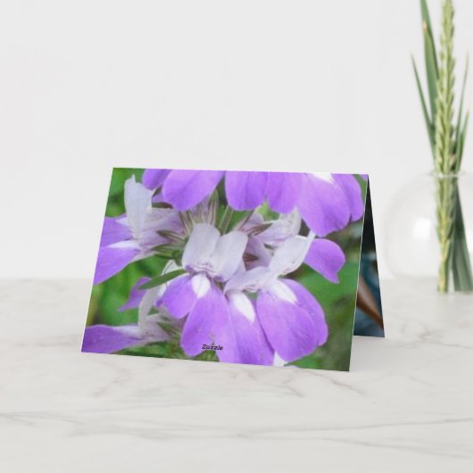 ウサギ シーズンカード (裏面)