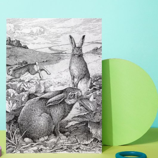 ウサギ シーズンカード