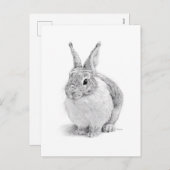 ウサギ シーズンポストカード (正面/裏面)