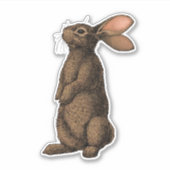 ウサギ シール (正面)