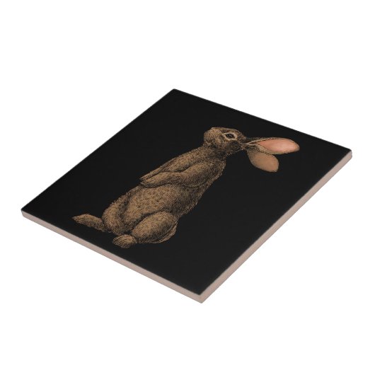 ウサギ タイル (側面)