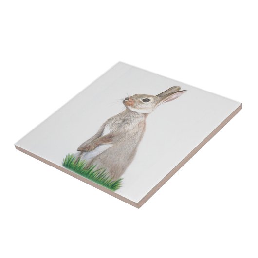 ウサギ タイル (側面)