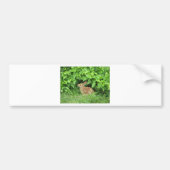 ウサギ バンパーステッカー (正面)