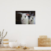 ウサギ ポスター (キッチン)