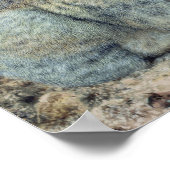 ウサギ ポスター (角)