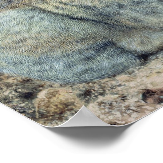 ウサギ ポスター (角)