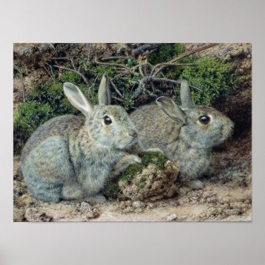 ウサギ ポスター (正面)