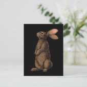 ウサギ ポストカード (スタンド正面)