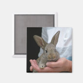 ウサギ マグネット (正面/裏面)