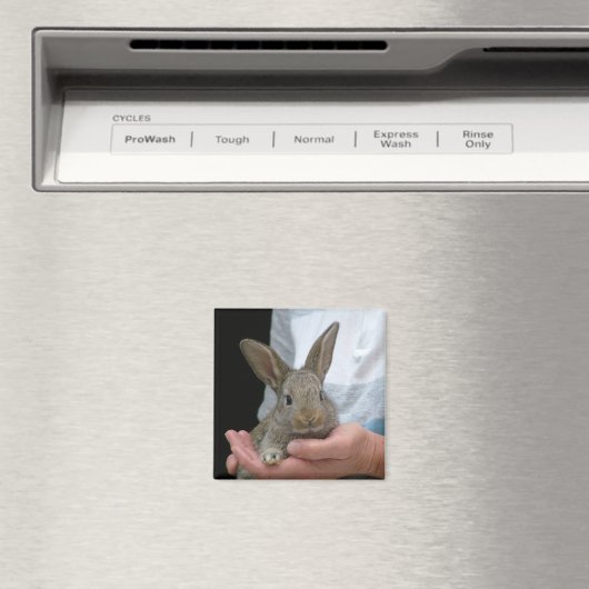 ウサギ マグネット (インサイチュ (食洗機))