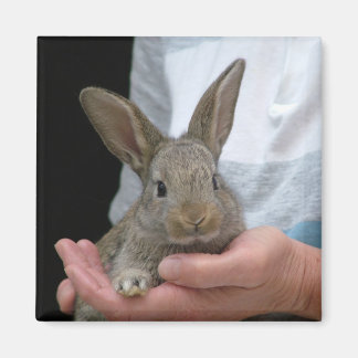 ウサギ マグネット