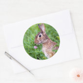ウサギ ラウンドシール (封筒)