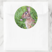ウサギ ラウンドシール (バッグ)