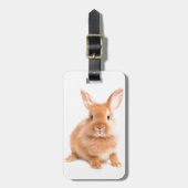ウサギ ラゲッジタグ (正面縦)