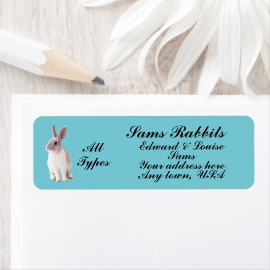 ウサギ ラベル (インサイチュ)