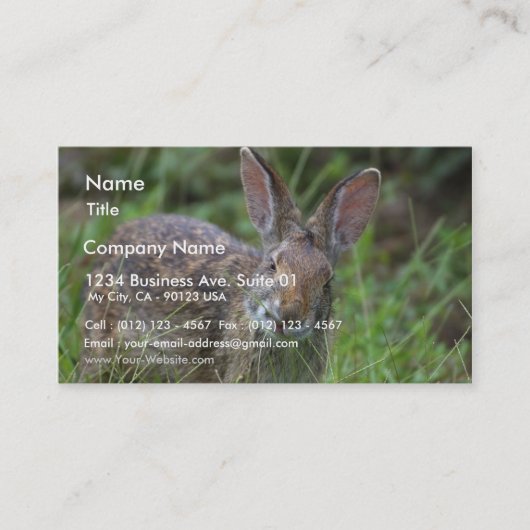 ウサギ 名刺 (正面)