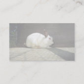 ウサギ 名刺 (裏面)