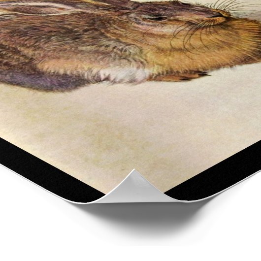 ウサギ(若いウサギ) ポスター (角)