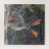 ウサギ，野生動物，贈り物箱付きパズル,パズル ジグソーパズル (横)