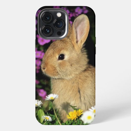 ウサギ iPhoneケース (裏面)