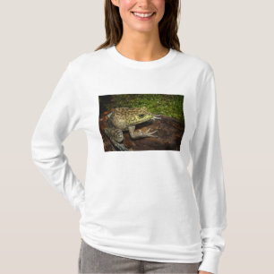 ウシガエル、Rana catesbeiana Tシャツ