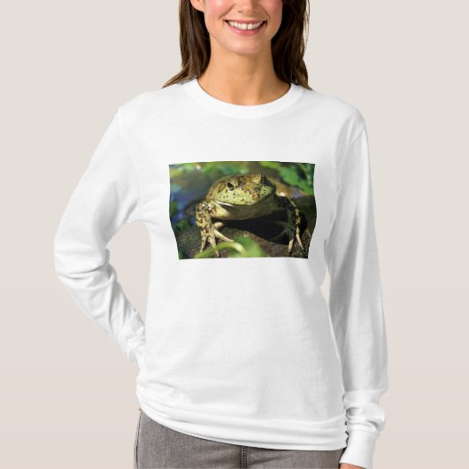 ウシガエル Tシャツ (正面)