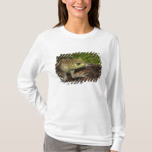 ウシガエル Tシャツ