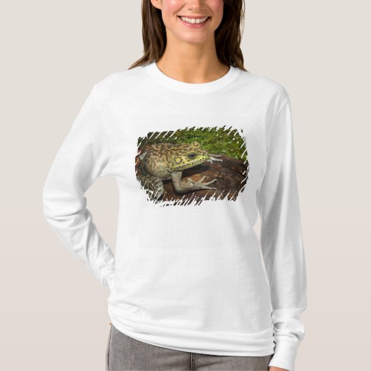 ウシガエル Tシャツ (正面)